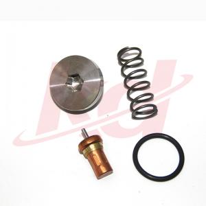 22832885 IR Thermostatic Valve Kit