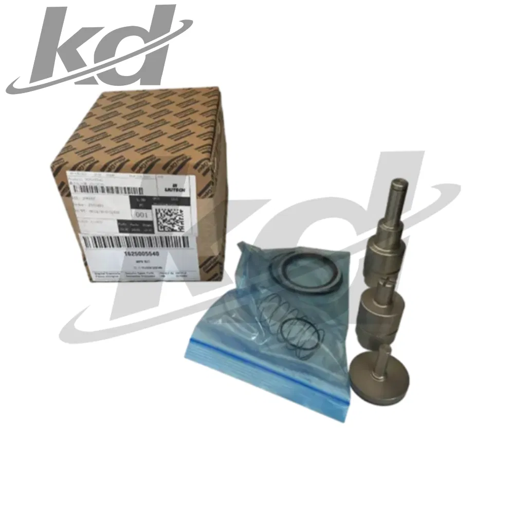 Wholesale Air Compressor Parts Minimum Pressure Valve  1625005540 for Atlas Copco Repair Kit