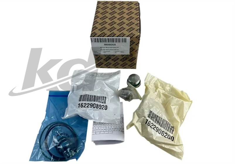 Atlas Original Factory Screw Air Compressor Oil Cut-off Combination Valve 3002602520 maintenance Package Air Compressor Valve Package